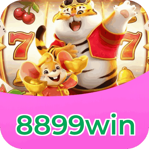 Interface 8899win